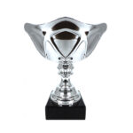 Copa 3084