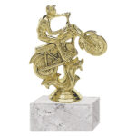 Trofeo Plástico Natación Femenino