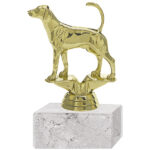 Trofeo Plástico Surf