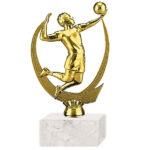 Trofeo plástico FR Reconocimiento Copa Color
